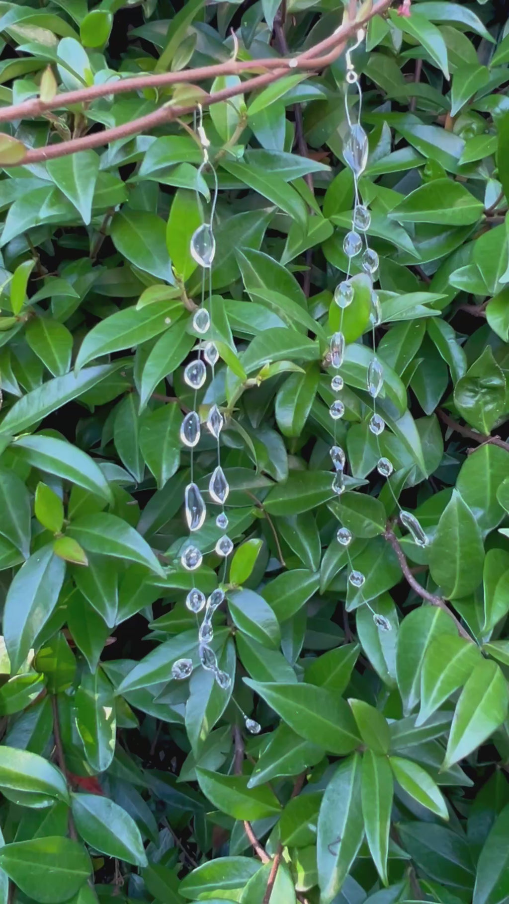 Long Clear Resin Raindrop Earrings: Ethereal Cascading Dangle Jewelry